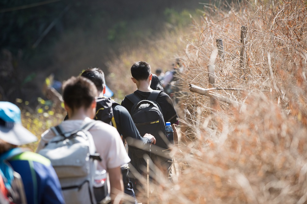 IMG_9228.jpg IMG_9228.jpg