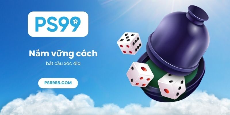 Nắm vững cách bắt cầu xóc đĩa để trở thành cao thủ sòng bài