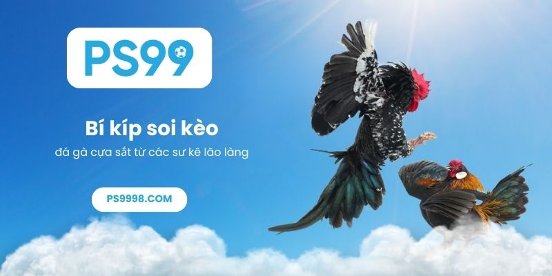 Bí kíp soi kèo đá gà cựa sắt từ các sư kê lão làng