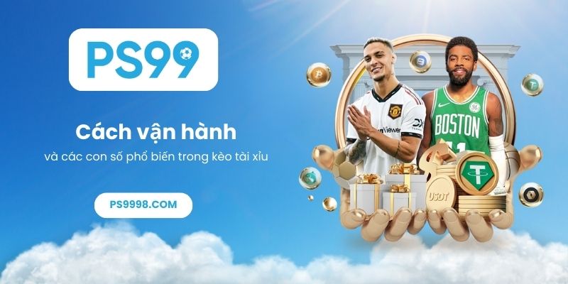 Cách vận hành và các con số phổ biến trong kèo tài xỉu