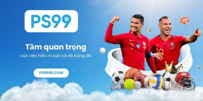 Tầm quan trọng của việc hiểu rõ luật cá độ bóng đá