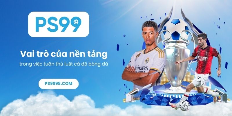 Vai trò của nền tảng trong việc tuân thủ luật cá độ bóng đá